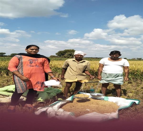 Warangal Urban District                                                                                                                                                                                                                                    - Crop Cutting Expts.,                                                                                                                                   - PMFBY Kharif paddy CCE at Kaniparthy Kamalapur Mandal                                                                                                                                                                                                           - dt.03/11/2018          